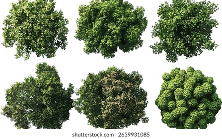 Vector Aerial view biodiversity, trees, serenity, nature landscape, green environment, ecology, transparent backgrounds, png, conservation, wilderness, sustainability, tropical