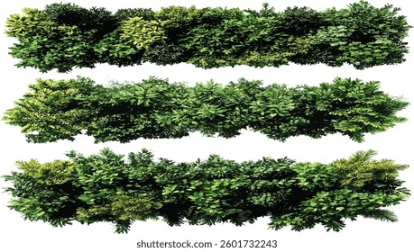 Vector Aerial view gardening bush row group isolate on backgrounds illustrations, landscape, plant, green, nature, top view, agriculture, foliage, environment, garden