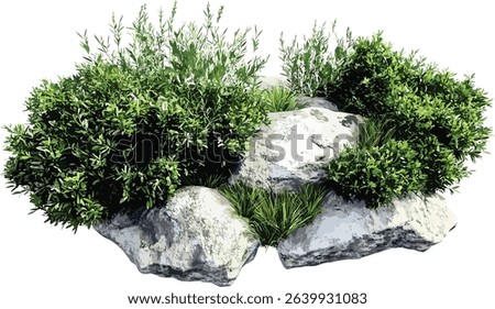 Vector Aerial view plants, shrubs with grassy and rocks, isolated on transparent background, PNG, nature elements, landscaping, top view, garden design, green foliage, outdoor scene
