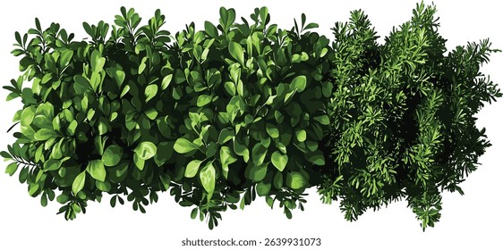 Vector Aerial view wilderness with grass, weed, rocks on transparent backgrounds, PNG, nature landscape, topdown terrain, ground texture, isolated backdrop, outdoor environment,