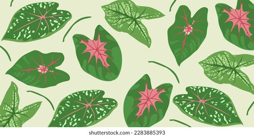 Vector aesthetic caladium leaf background element. Cartoon caladium leaf decoration. Editable elements