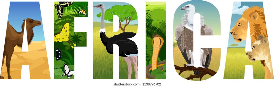 vector Africa illustration with  camel, butterflies, ostrich. cobra snake, Griffon vulture, lion and lioness