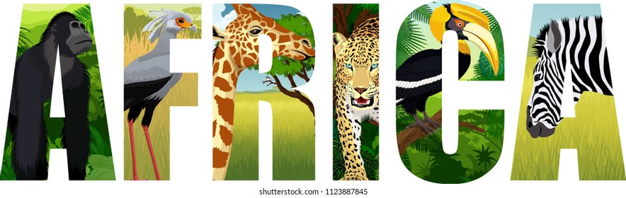 vector Africa illustration with giraffe, gorilla, leopard, secretary-bird, zebra and great hornbill