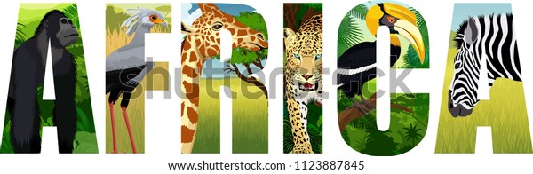 Vektorgrafik Afrikas Mit Giraffe Gorilla Leopard Stock Vektorgrafik Lizenzfrei