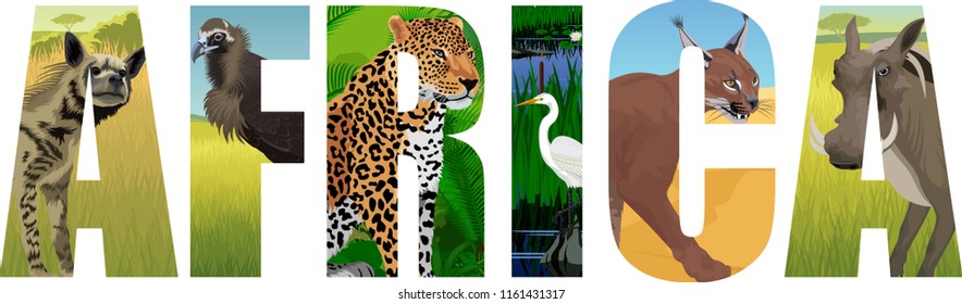 vector Africa illustration with leopard, vulture, Great white heron, striped hyena, caracal and common warthog