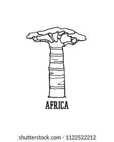 Vector Africa travel poster with hand drawn baobab. Beautiful design elements, ink drawing, logo template