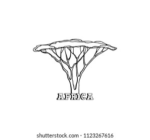 Vector Africa travel poster with hand drawn Umbrella Thorn Acacia. Beautiful design elements, ink drawing, logo template