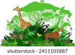 Vector Africa tropical jungle rainforest illustration with animals