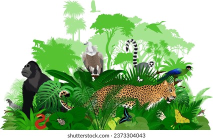 Vector Africa tropical jungle rainforest illustration with animals.	