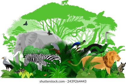 Vector Africa tropical jungle rainforest illustration with animals