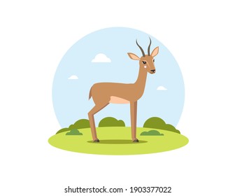 Cartoon Gazelle High Res Stock Images Shutterstock