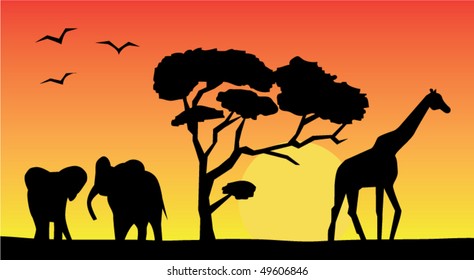 vector african landscape