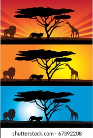 vector african landscape with animals