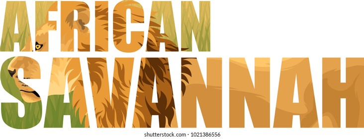 vector african lion illustration