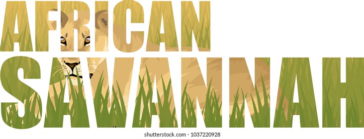 vector african lioness illustration