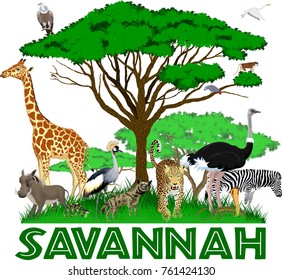 Vector African Savannah With Leopard,  Girrafe, Vulture, Zebra, Ostrich, Warthog, Cobra, Crowned Crane, Parrot And Heron