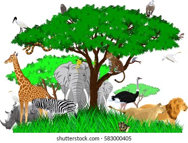 vector african savannah with lions, rhino, vulture, zebra, boa, leopard, ostrich and heron