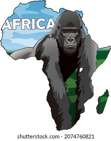 Vector of African wildlife Gorilla in african map     