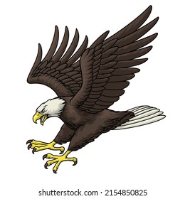 Vector of aggressive Bald Eagle in Hand drawn style