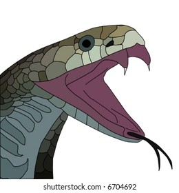 vector of aggressive  cobra  with open mouth