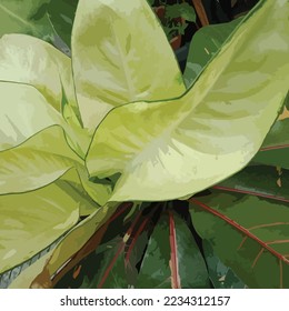 plantilla de ilustración de tejido de aglaonema vectorial