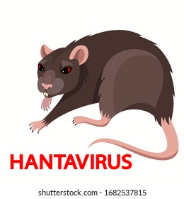 Vector agressive ugly brown rat hantavirus carrier