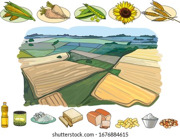 vector agriculture field and agricultural crops