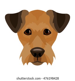 Vector airedale terrier dog face icon
