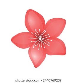 Vector akura flower icon delicate cherry blossom petals spring motives on white