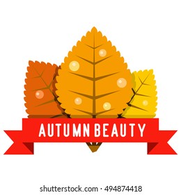 Vector alder yellow leaves isolated on white background. Alder for September decor. Floral elements in flat style for autumn design