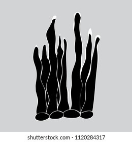 vector, algae, cartoon, silhouette