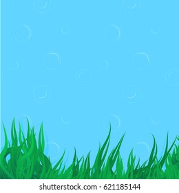 Vector algae elements on bubbles background. Illustration for various design purposes