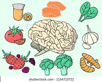 Vector of All Brain food illustration