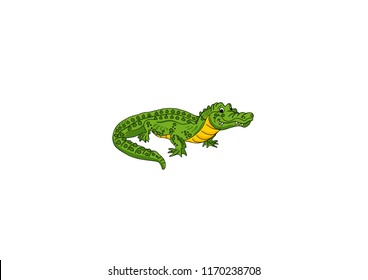 Vector alligator crocodile