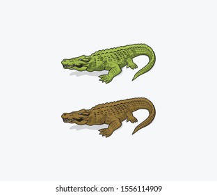 vector of alligator crocodile cartoon character eps format