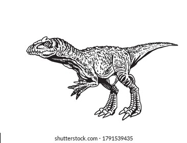 Vector Allosaurus isolated on white background,graphical illustration