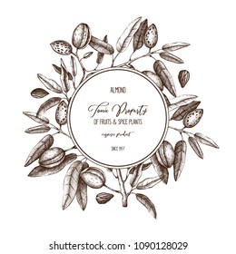 Vector Almond background. Hand drawn  nut tree sketch. Botanical round template. Vintage design with tonic plant drawings.