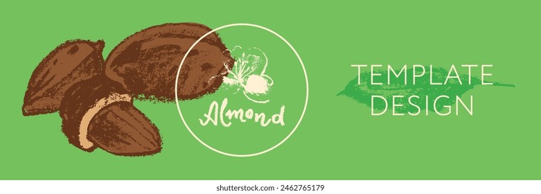 Vector almond banner template. Hand drawn almonds drawing, almond nuts illustration. Marzipan paste or almond butter badges. Floral sketch with charcoal textures. Almond emblem for organic food label.