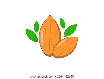 
vector of almond fruit in cartoon style