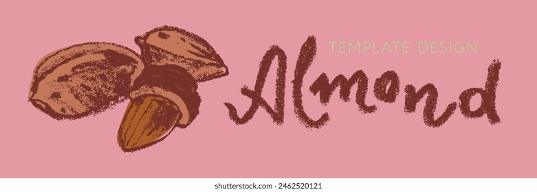 Vector almond icon isolated. Hand drawn almonds drawing, almond nuts illustration. Marzipan paste or almond butter badges. Floral sketch with charcoal textures. Almond emblem for organic food label.