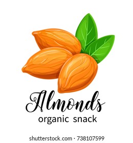 Vector almond nuts in cartoon style for template label, packing and emblem.