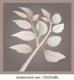 Vector almond tree branch illustration