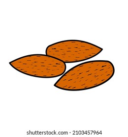 vector of almonds isolated on a white background, flat, cartoon style. For web and print design.