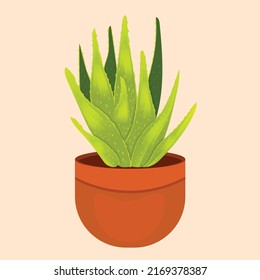 vector aloe Vera with fresh drops of water in brown pot.
