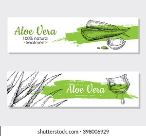 Vector Aloe Vera Hand Drawn Illustrations. Detailed Drawing. Aloe Vera Banner, Poster, Label, Brochure Template For Business Promote.