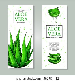 Vector aloe vera hand drawn banner.  Natural cosmetic ingredient. Botanical drawing of lemongrass plant . Herbal treatment. Great for poster, label, brochure, template, flyer, business promote.