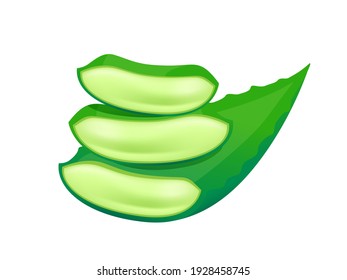 vector aloe vera leaves isolated on white, aloe vera stalk, clip art aloe vera leaf