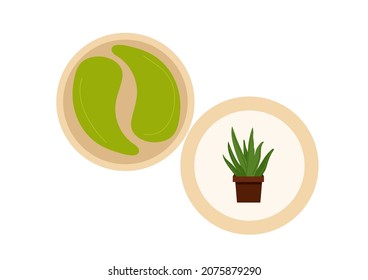 Vector aloe vera plant flat style , cosmetics natural ingredients, aloe leaves, organic eye patches