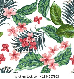 Vector aloha pattern. plumeria, fragipani, ficus and palms. Traditional tropical flowers, seamless vector design. 