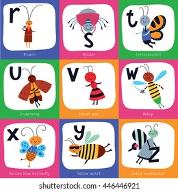 Vector alphabet for children. Cute insects in cartoon style. R, S, T, U, V, W, X, Y, Z,. Part 3.